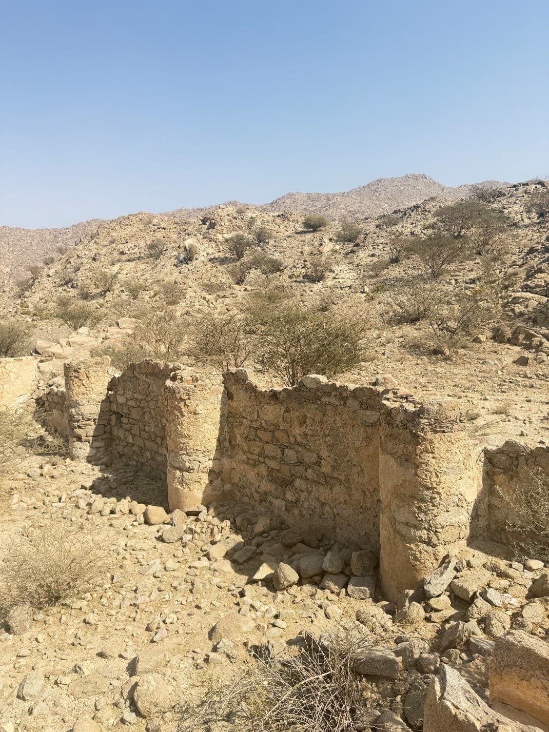 بركة أم الضميران